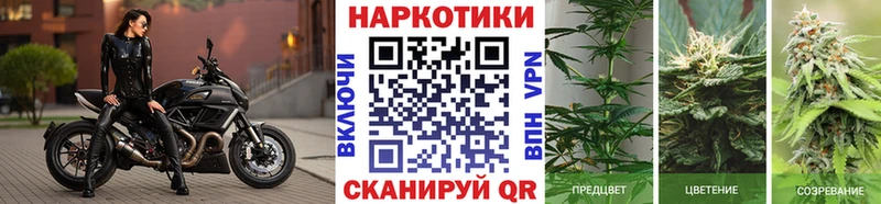 Где купить Заводоуковск COCAIN Меф Кетамин Канабис ГАШИШ