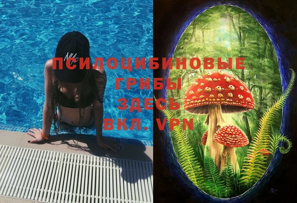 дживик Балахна