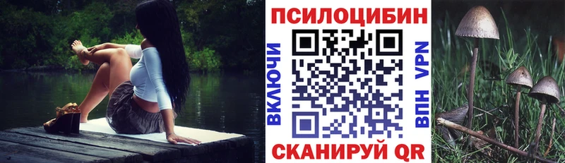 Псилоцибиновые грибы Psilocybine cubensis  ОМГ ОМГ маркетплейс  Заводоуковск 